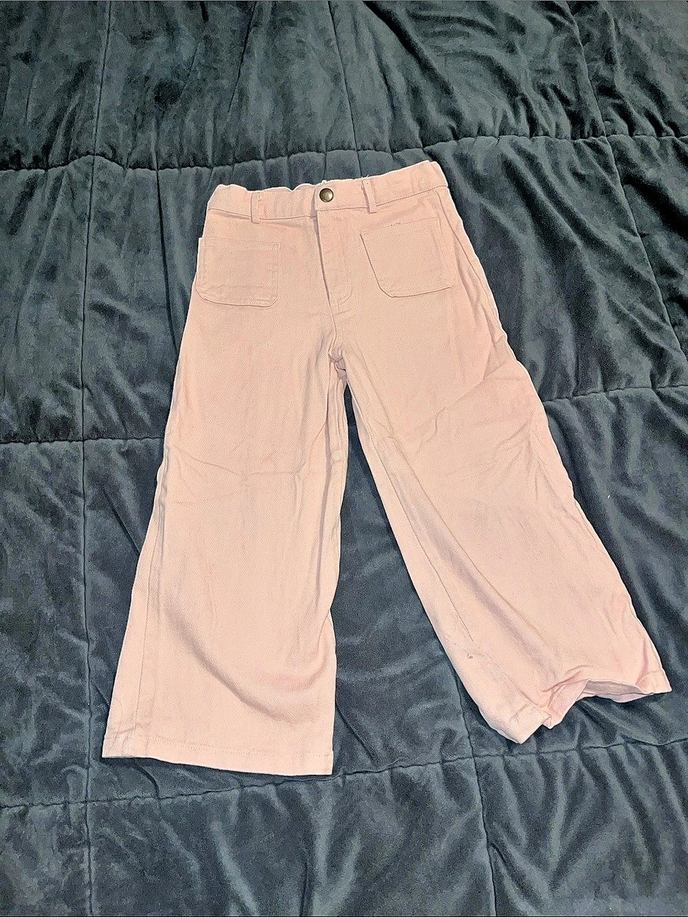 Wide Leg Pants in Pink Size 6